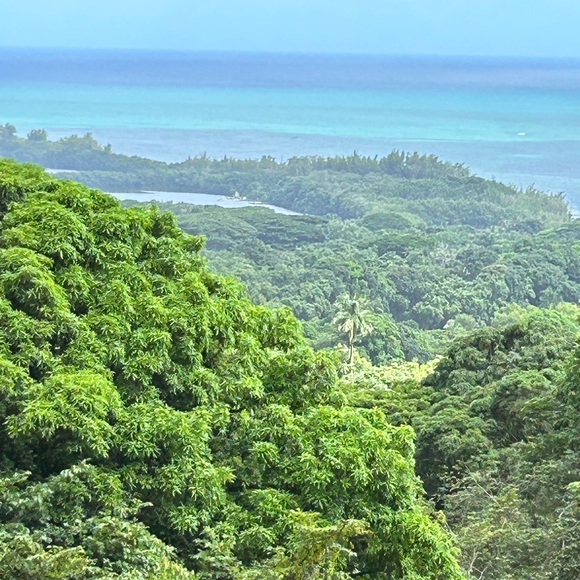 Quick List - Picture 3 of 16